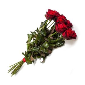 Czerwone Róże (60-70cm)