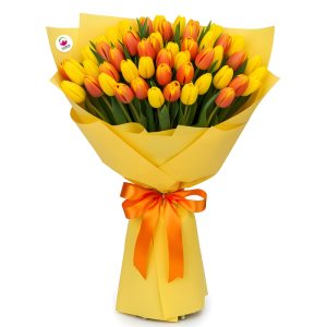 Słoneczne Tulipany - 20 tulipanów