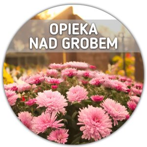 Opieka nad grobem (kwiat doniczkowy (chryzantema) i 2 znicze gratis!)